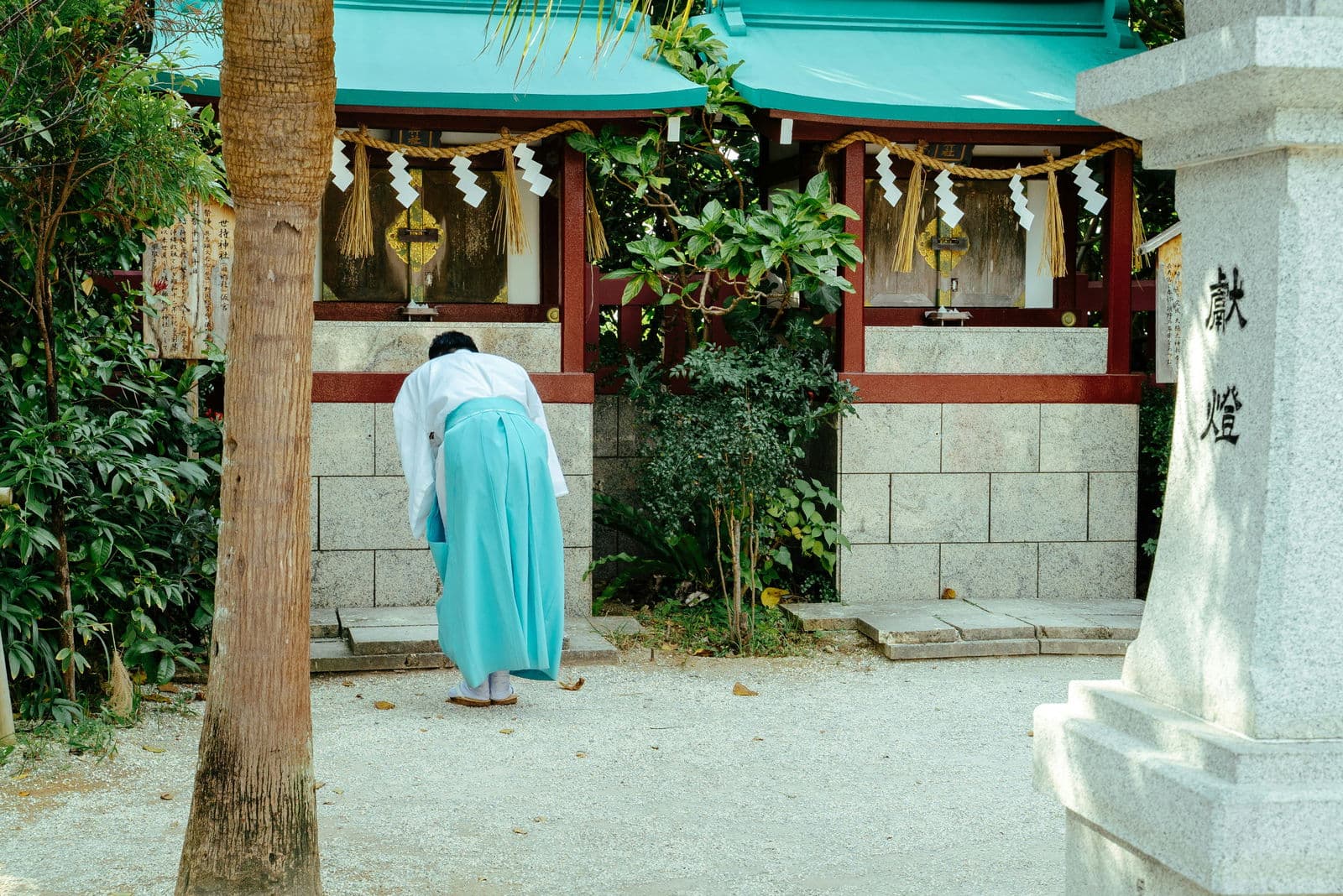 Stories of Resilience and Memory